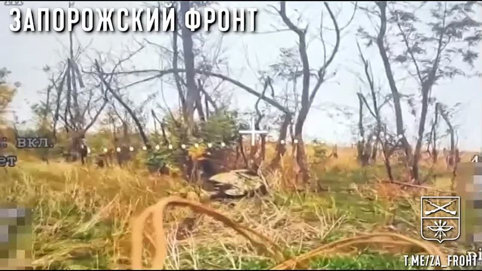 Операторы БПЛА 3-й штурмовой группы «Немца» методично чистят позиции противника на Запорожском направлении: техника - в огне, личный состав - вне игры, укрытия - пустуют