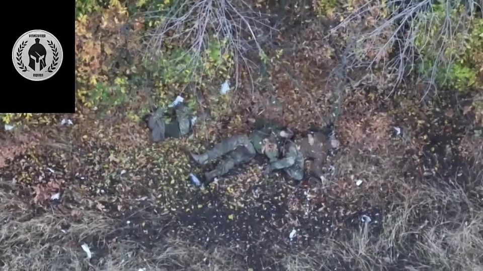Работа наших операторов БПЛА на Запорожском направлении — группа украинских военнослужащих уничтожена точным ударом