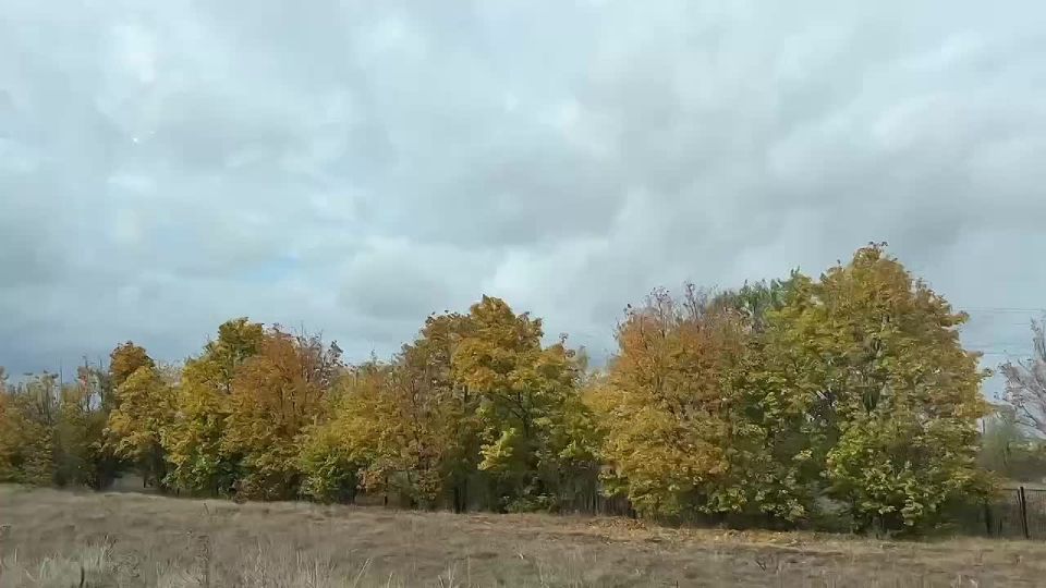 Доброе утро, суббота!. Дождливое утро — это не серость, а особая атмосфера уюта