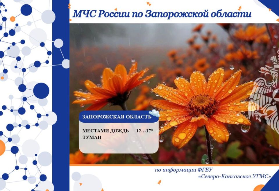 С 11 на 12 октября на территории региона ожидается: