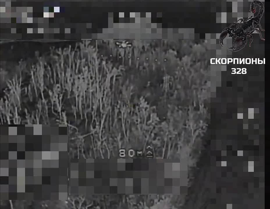 Ночь не помеха. Кадры работы расчетов FPV-дронов десантников 328 гв дшп на Запорожском направлении