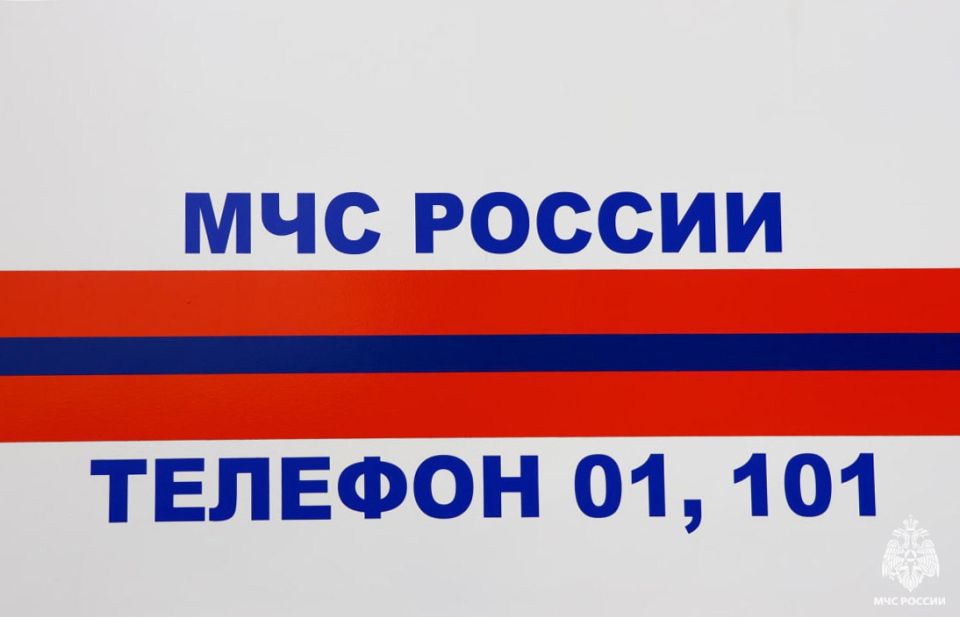 Оперативная информация за сутки