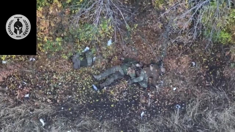 Чёткий страйк по свиногруппе на Запорожском направлении