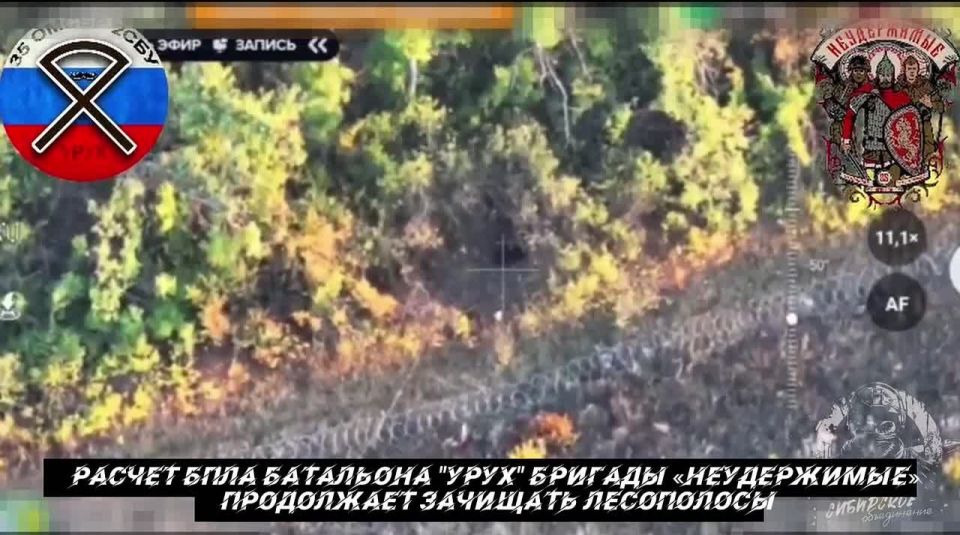 от Енота Херсона      за прошедшие сутки с разных направлений зоны проведения специальной военной операции