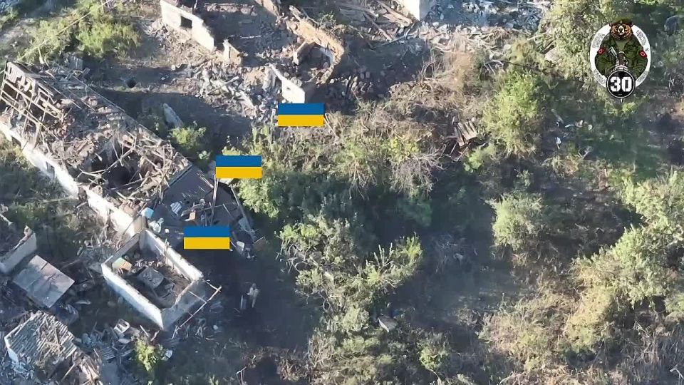 Точный артиллерийский удар по группе военнослужащих ВСУ в частном секторе Покровска