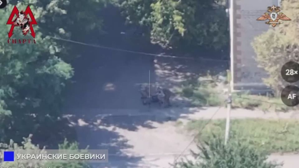 Батальон «Спарта» уничтожает ПУ БЛА ВСУ в районе Белицкого
