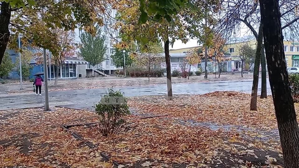 Осенняя тишина. Пасмурный день накрыл город