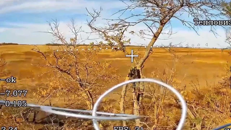 Операторы FPV-дронов группировки войск «Днепр» уничтожили блиндаж и пункт управления БПЛА ВФУ в Запорожской области