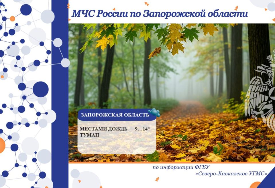 С 14 на 15 октября на территории региона ожидается:
