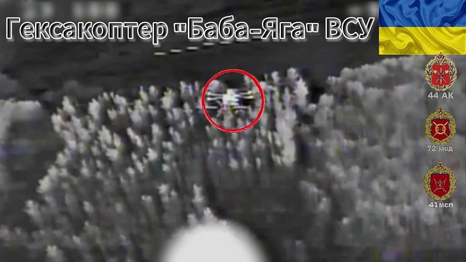 Расчет БпЛА 41 мсп 44 Армейского корпуса с помощью ФПВ-дрона освободил небо Харьковской области от нечисти