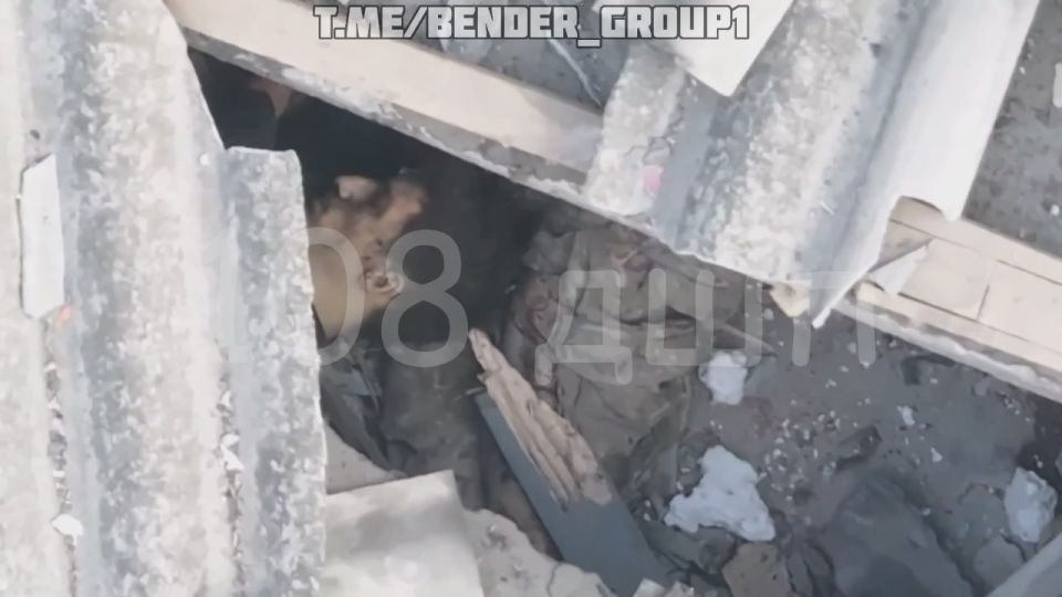 Объективный контроль ликвидации группы противника на Запорожском фронте