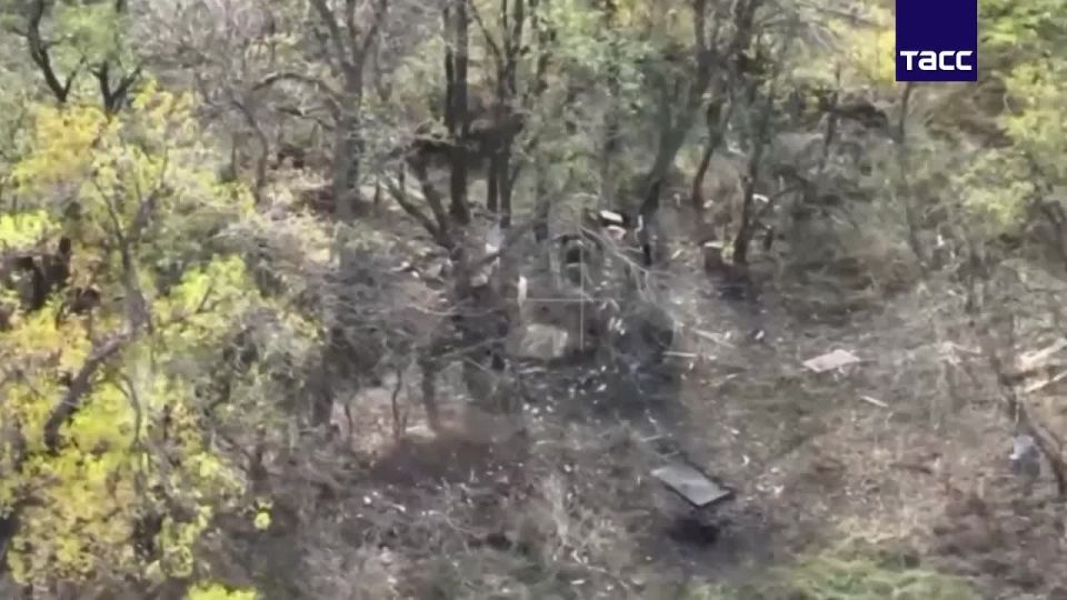 Артиллеристы "Востока" уничтожили "Краснополем" отделение ВСУ в Запорожской области, сообщили ТАСС силовики