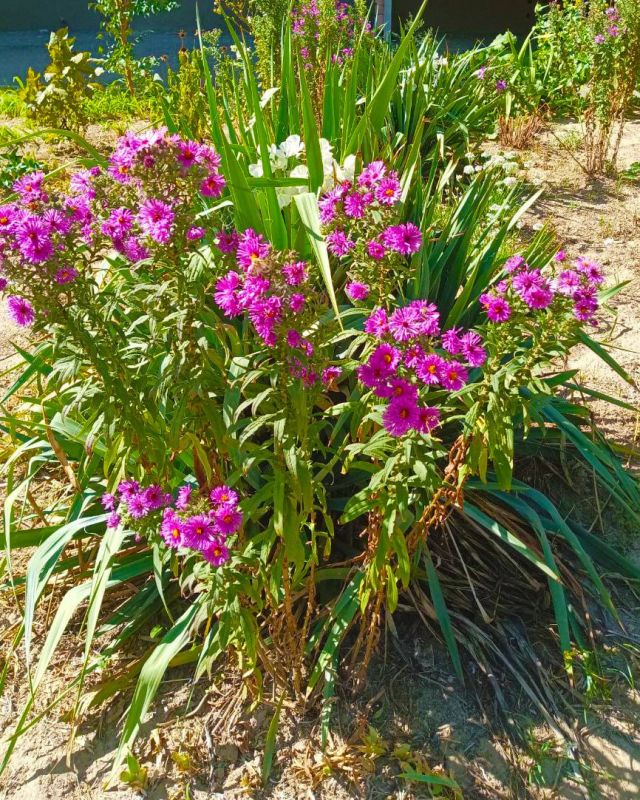 С добрым утром! Наступил новый потрясающий день, полный новых подвигов и побед