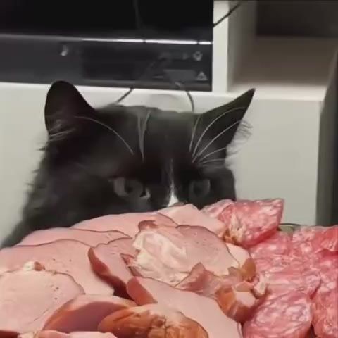   ,    
