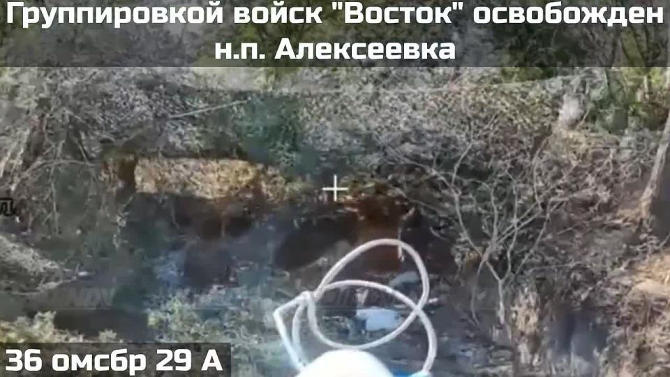 ВОИНАМИ ГРУППИРОВКИ ВОЙСК "ВОСТОК" ОСВОБОЖДЕН НАСЕЛЁННЫЙ ПУНКТ АЛЕКСЕЕВКА ДНЕПРОПЕТРОВСКОЙ ОБЛАСТИ