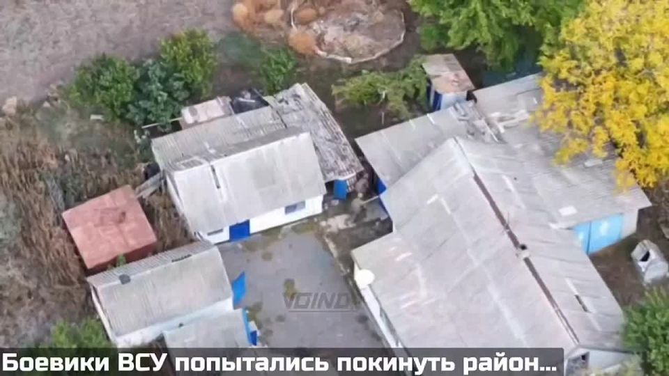 И один в поле воин. Штурмовик с позывным Мио из 60-й отдельной мотострелковой бригады группировки войск «Восток» представлен к званию Героя России