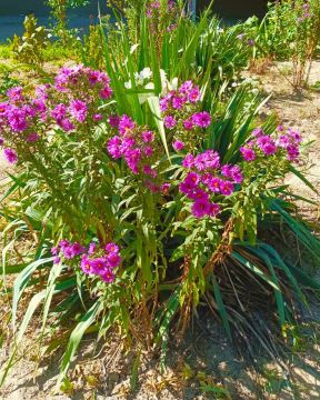 С добрым утром! Наступил новый потрясающий день, полный новых подвигов и побед