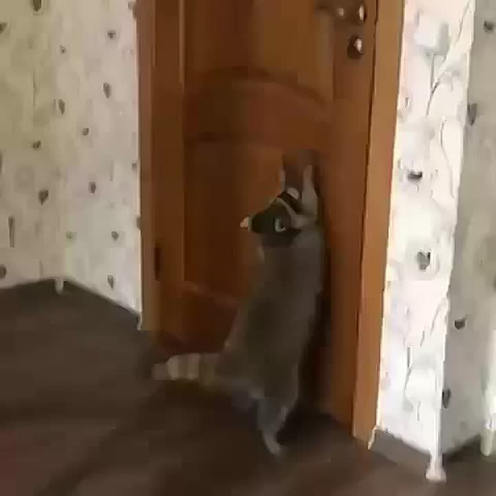 Доброе утро, друзья! Хорошего вам дня и отличного настроения!