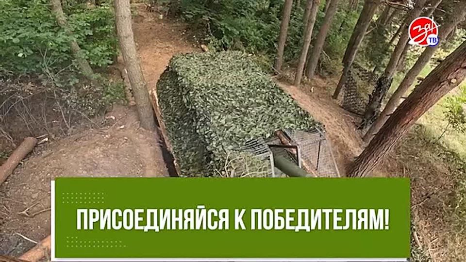 Защитники Родины: путь к миру и безопасности