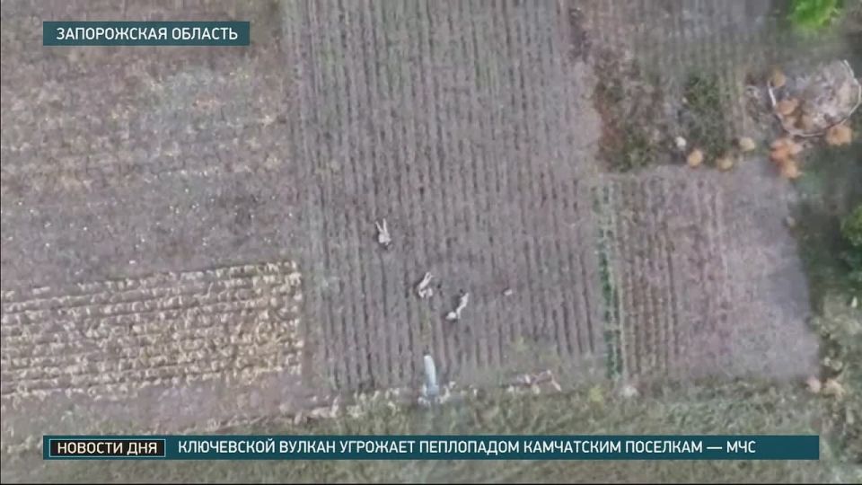 Боец представлен к званию Героя России за бой с пятерыми боевиками