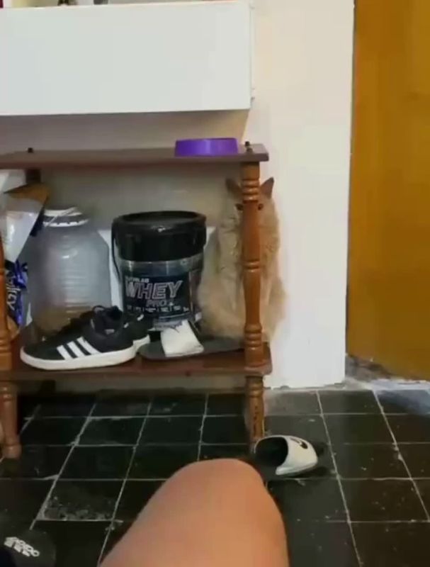   .  