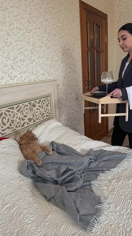 Суббота — можно и отдохнуть