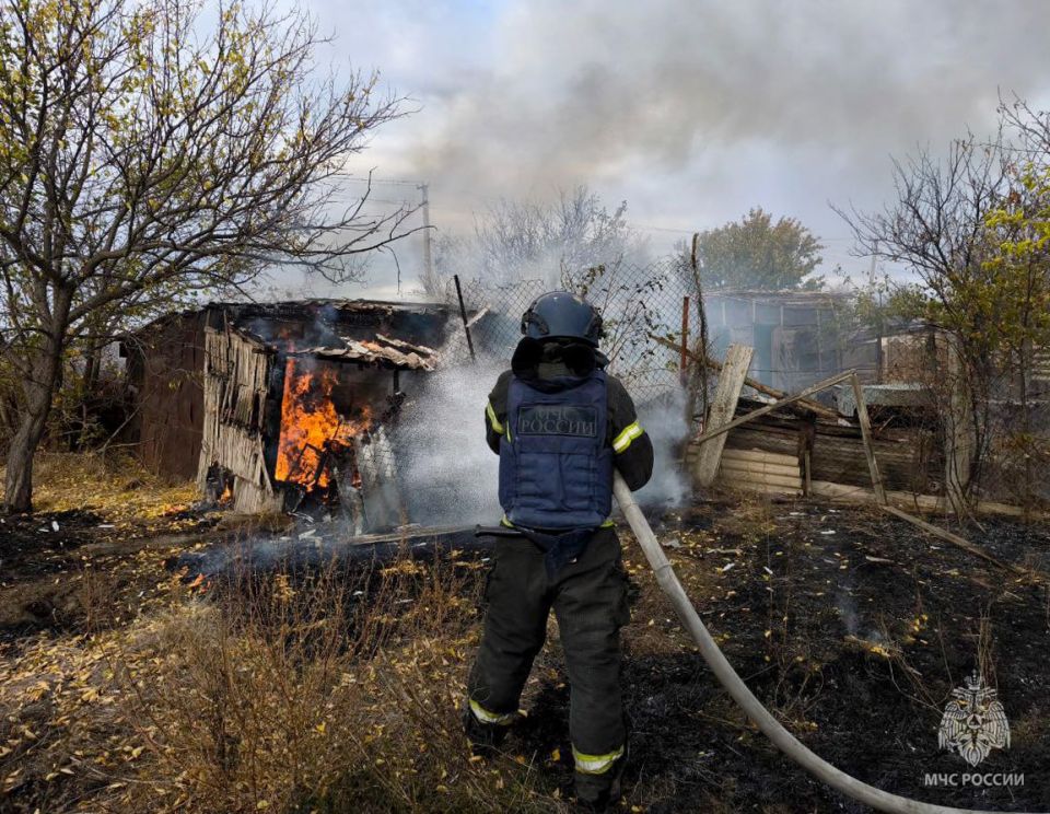 Оперативная информация за сутки