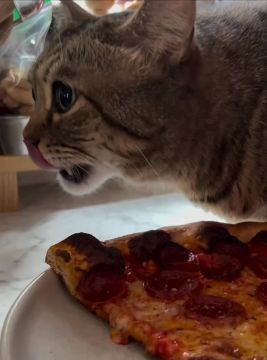 Плотненько ужинаем и спать, завтра на работу