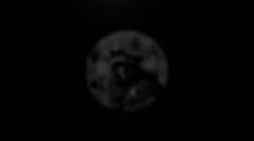 от Енота Херсона за прошедшие сутки с разных направлений зоны проведения специальной военной операции