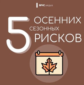 5   . , ,      .