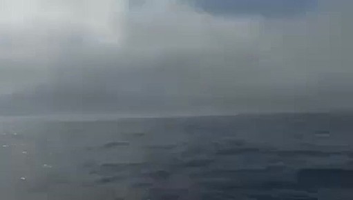 !.       