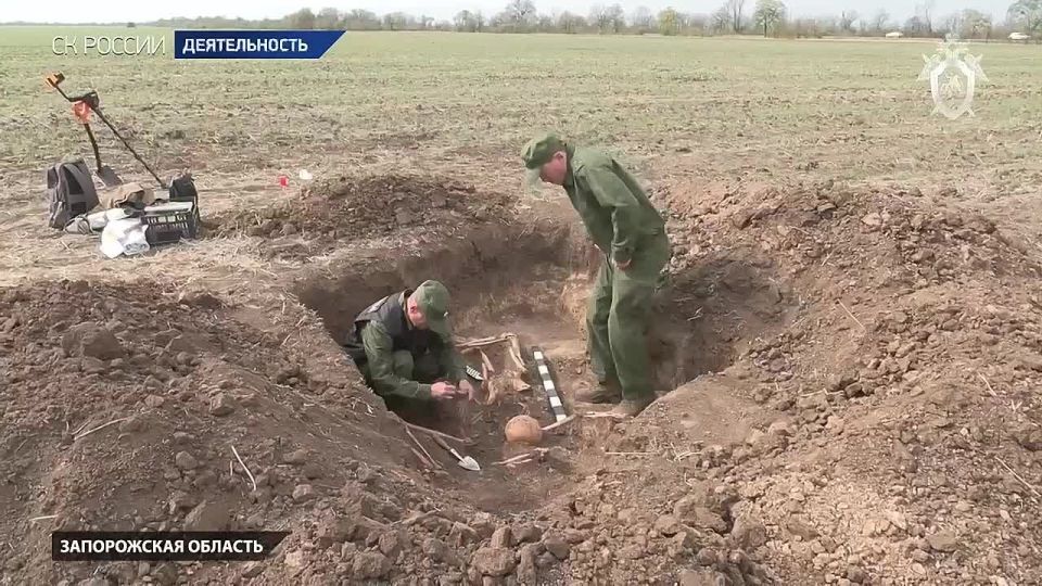 В Запорожской области найдены останки бойцов Красной Армии