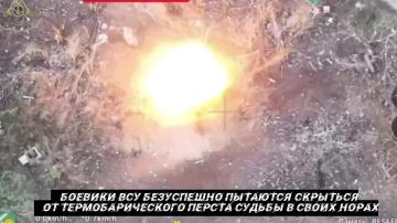 от Енота Херсона      за прошедшие сутки с разных направлений зоны проведения специальной военной операции