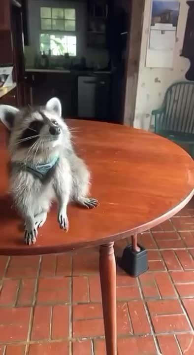 Доброе утро, друзья! Хорошего вам дня и отличного настроения!