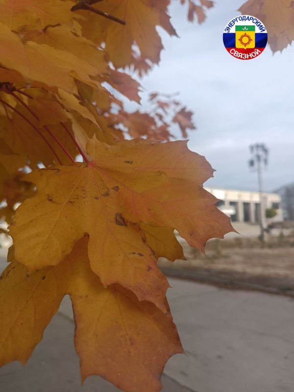 Желаем вам доброго утра! Пусть оно будет добрым вне зависимости от погоды, обстоятельств и количества дел