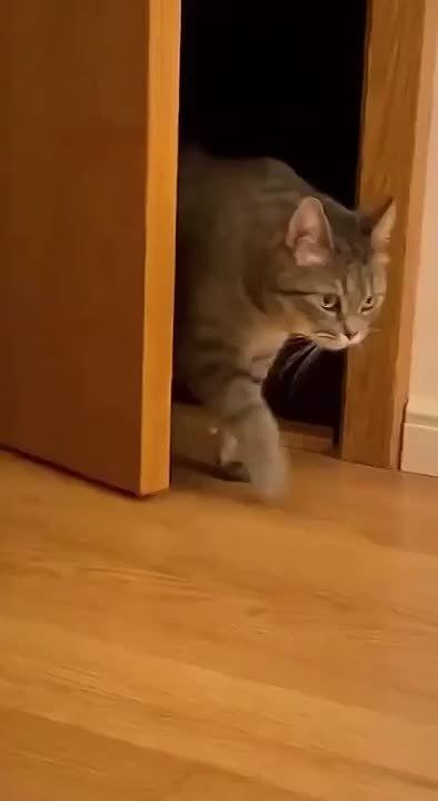 Еще один рабочий день подошел к концу