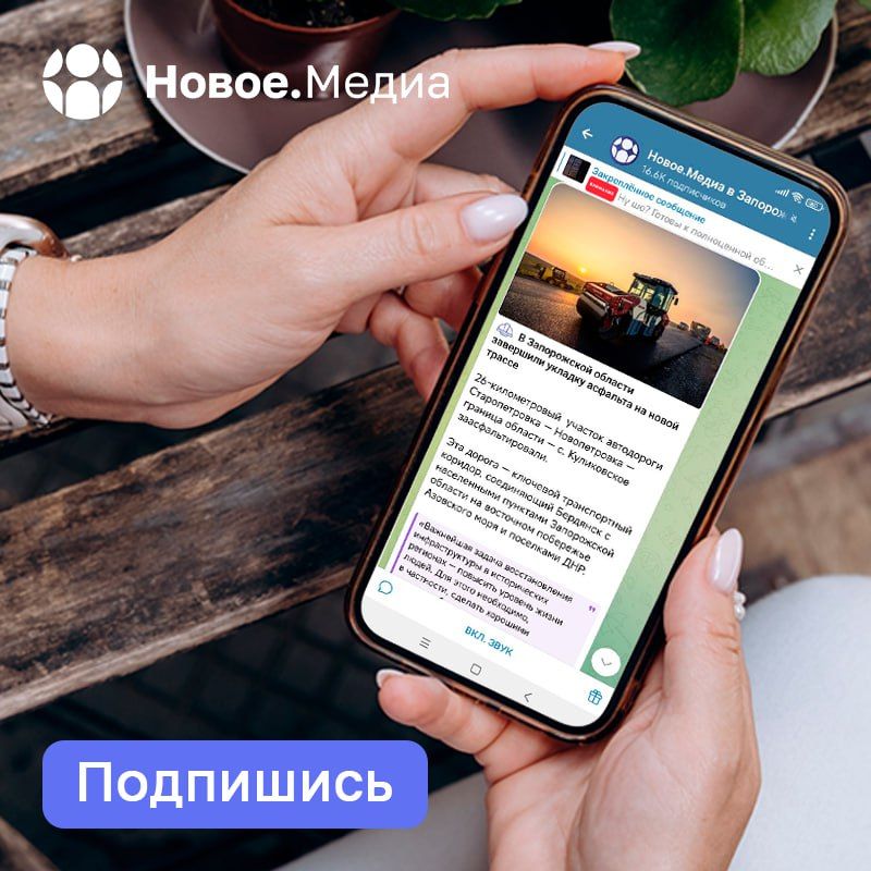 Фейки — не проблема, если ты подписан на Новое.Медиа