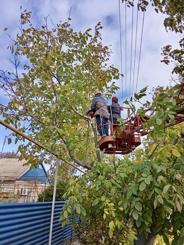 Расчистка линий электропередачи в Акимовском районе