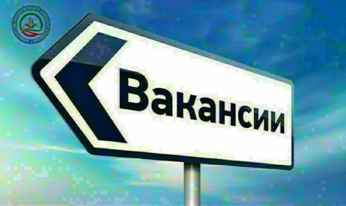           :