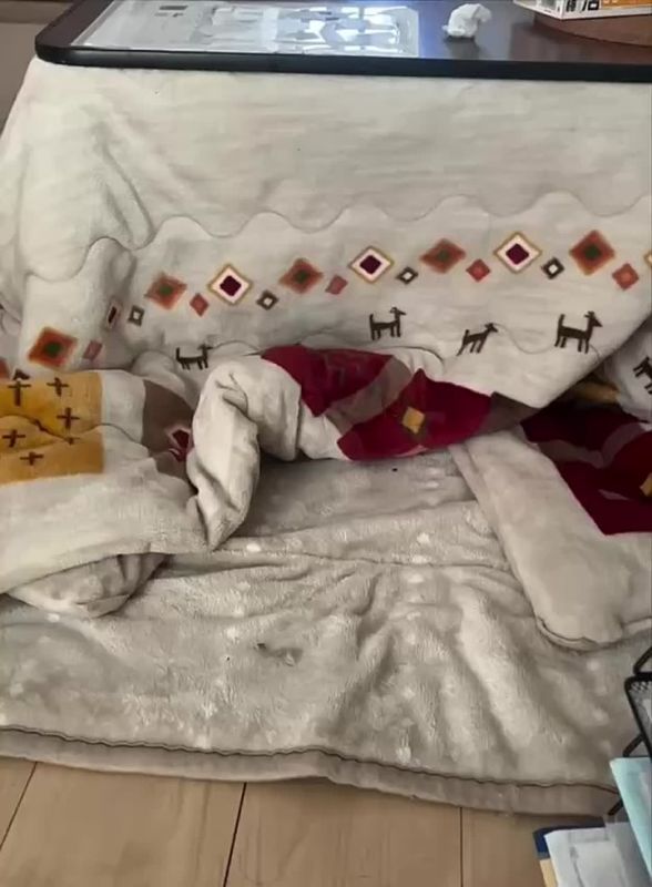 А вот и утро нового рабочего дня