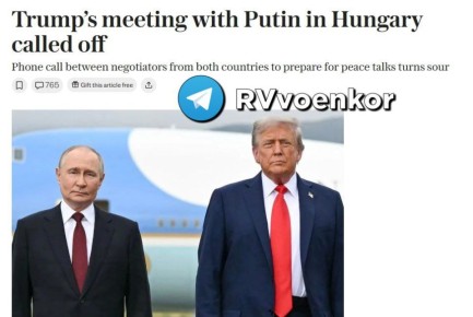   ,                  ,  The Telegraph