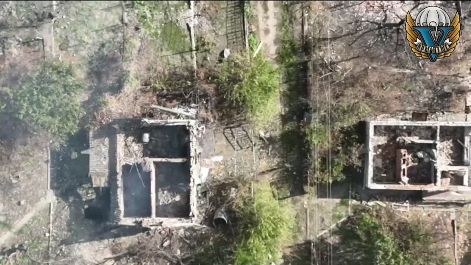 Русские дроноводы продолжают ликвидировать ВСУшную технику и личный состав при помощи FPV-дронов в Запорожской области