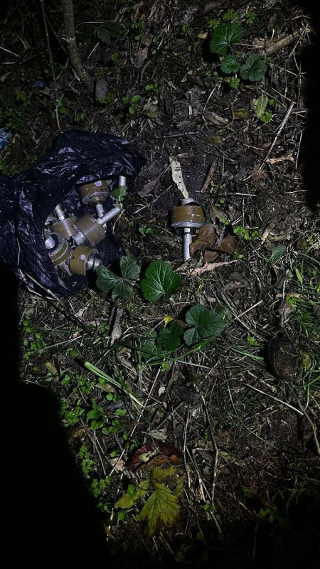 В Мелитопольском районе полицейские изъяли боеприпасы