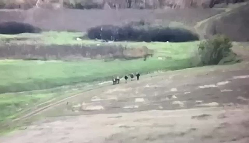 Группа всушников сильно расслаблено шла,решили, что опасность позади