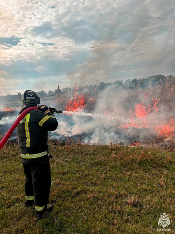 Оперативная информация за сутки