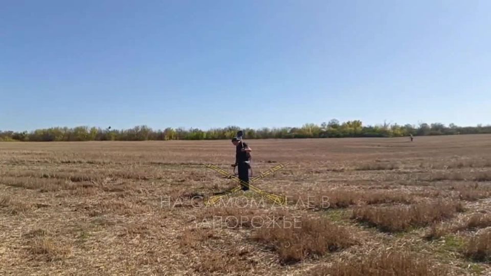 В Запорожской области продолжаются поиски самолёта Героя Советского Союза Фёдора Бузикова