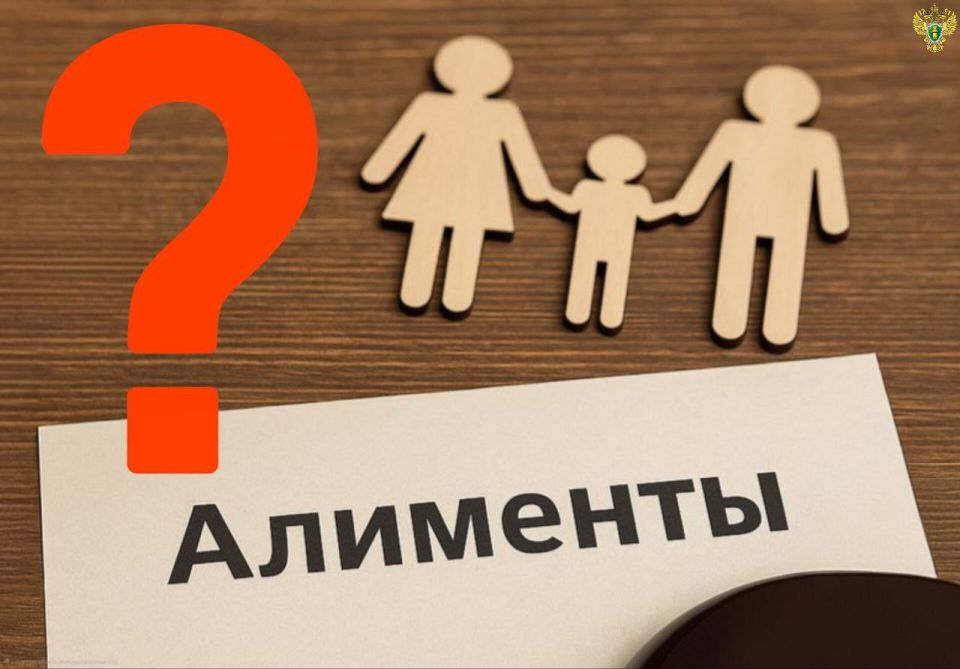 Прокуратура Мелитопольского района направила в суд дело в отношении отца-должника