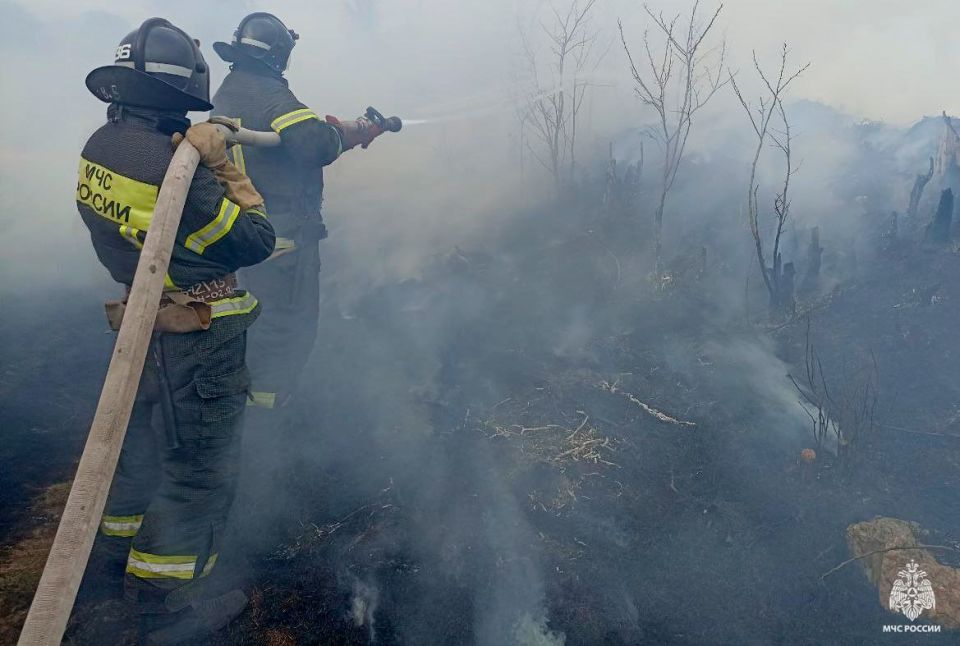 Оперативная информация за сутки