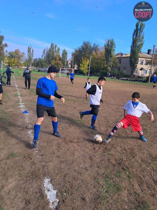 ������ �� ����-������� ������ � ���������� ������