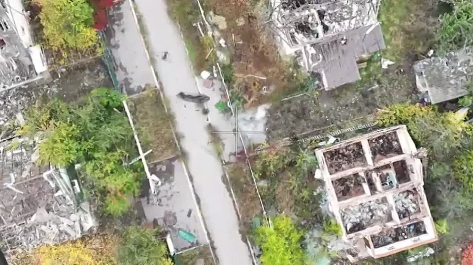 ЭКСКЛЮЗИВ: Отряд «Анвар» демонстрирует беспрецедентную эффективность в уничтожении объектов ВСУ